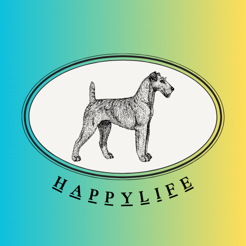 HappyLiFE編集部のアバター